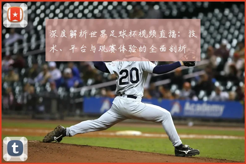 深度解析世界足球杯视频直播：技术、平台与观赛体验的全面剖析